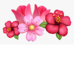 Flora's flower garden