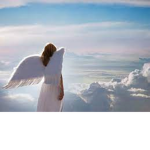 Angel_Apparel