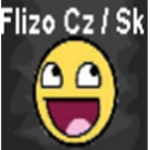 FLizo Cz / Sk