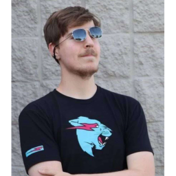 MrBeast GAme