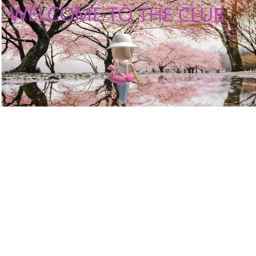 Blossom Fan Group Game