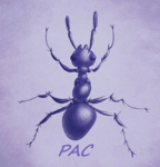Purple ant club