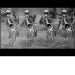 The Spooky Squad