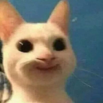 S11Nou