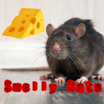 *-*Smelly Rats*-*