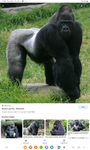 Funny business0012