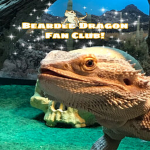 Bearded Dragon FanClub!