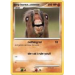 derp horse playz