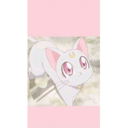 °~✰°~✰
