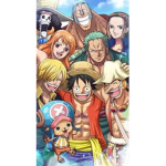 one piece cIan