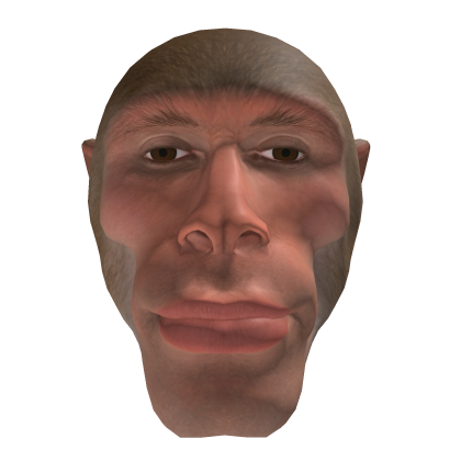 Mog Monkey