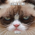 Grumpy cat for life