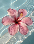 BEaTiFuL pEePs