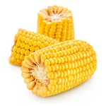 FrenchCorn Fan Group