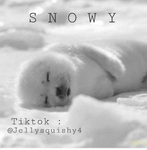 S N O W Y Y