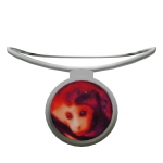 Amulet