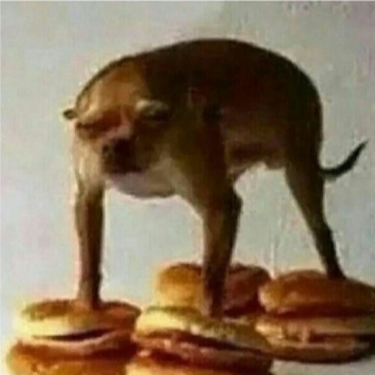 Dog Roblox decal