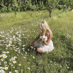daisyhaven