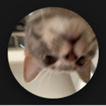 King Army! Giveaways, Shoutout's And, More!