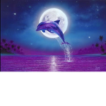 Mr. Dolphins army