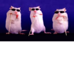 ZIG and The Fellas
