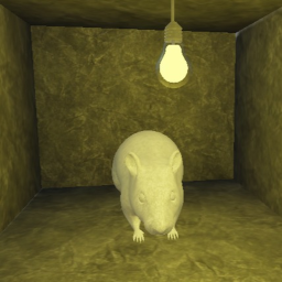 Ratta Obby