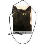 stephen cat boy fan club