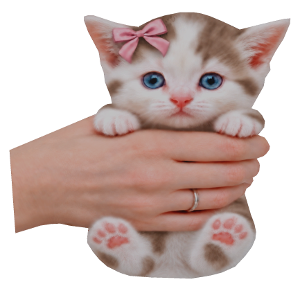 Cat Kitty Cat