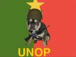 UNOP army