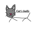 Cat's balls