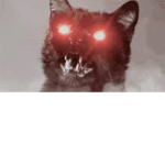 susy you