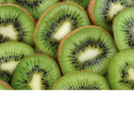 Kiwi-thedicRoses