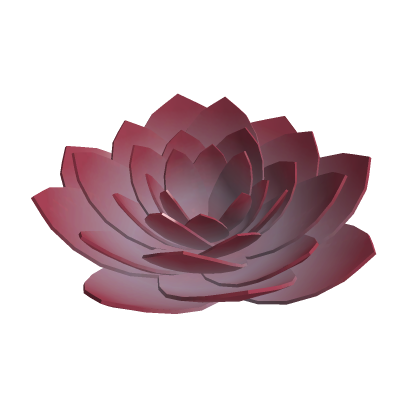 A Water Flower