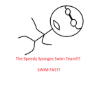 The Speedy Sponges swim team