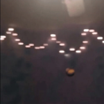 A patoto flew around my room before you you came
