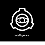 ¤ Intelligence Agency ¤