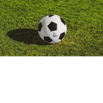 ~Footie Fans~