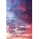 Aestheticglowx