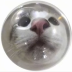 Caticorn Games