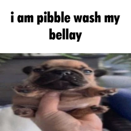 pibble