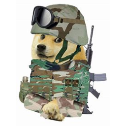 The War