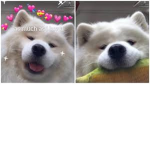My best frend is teh best :D