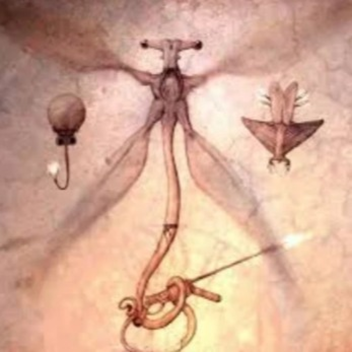 All tomorrows (QU invation)