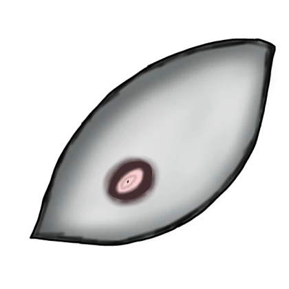 Ranta eye1