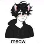 Mewfia