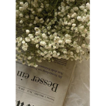 Bouquet<3