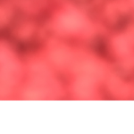 Robux_noob