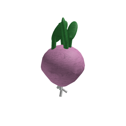 turnip