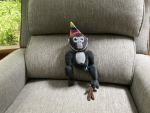 The monkey plush