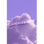 Lavenders lovely aesthetics